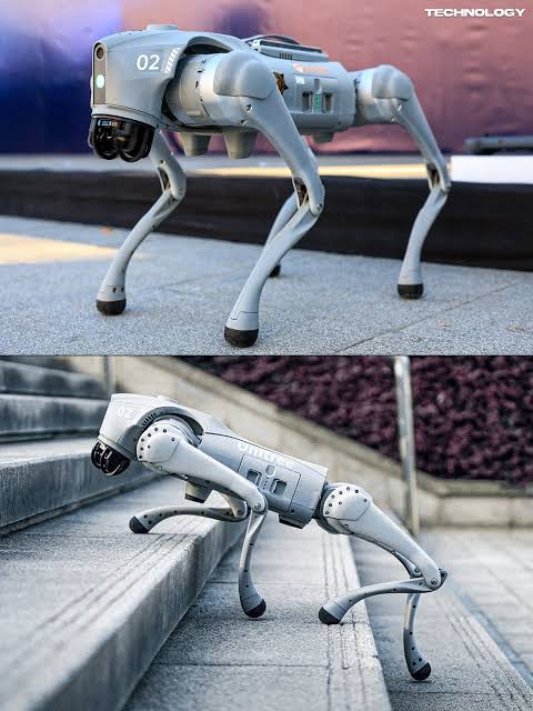 100 Years of Tech: From VR’s Origin to Robot Dogs